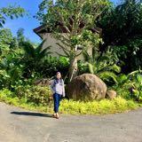 (Category: ) located in . Submitted by jajataib (Listing ID 1466221524, Image 1). Description: .