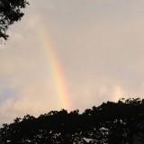 (Category: ) located in . Submitted by sky.roof (Listing ID 1218662898, Image 1). Description: .