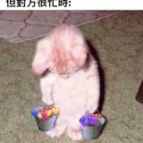 由 acc52199 (刊登 ID 1467926608,圖片 1) 提交,位於 的 (類別:),說明:。