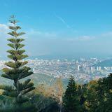 (Category: ) located in . Submitted by anhendra (Listing ID 1373009367, Image 1). Description: .