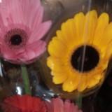 (Category: ) located in . Submitted by joanleeym (Listing ID 1009099967, Image 1). Description: .