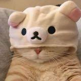 (Category: ) located in . Submitted by maddyyyyq (Listing ID 1463777379, Image 1). Description: .