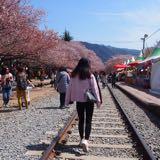 （分類：）位於 。 由 yoyolam 提交（商品編號 1313292568，圖片 1）。簡介： 。