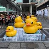 （分類：）位於 。 由 ryanabcd 提交（商品編號 1303715331，圖片 1）。簡介： 。