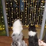 (Category: ) located in . Submitted by furkids_sg (Listing ID 1164655029, Image 1). Description: .
