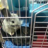(Category: ) located in . Submitted by caddee (Listing ID 1377293178, Image 1). Description: .