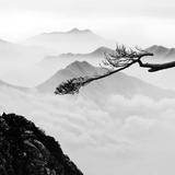 （分類：）位於 。 由 oakamo 提交（商品編號 1073623437，圖片 1）。簡介： 。