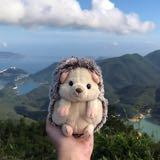 （分類：）位於 。 由 wildhedgehog 提交（商品編號 1053057657，圖片 1）。簡介： 。