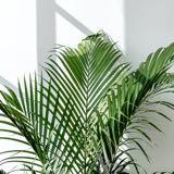 （分類：）位於 。 由 bbshannon 提交（商品編號 1272012839，圖片 1）。簡介： 。
