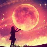 （分類：）位於 。 由 yk.moon 提交（商品編號 1373137722，圖片 1）。簡介： 。