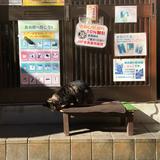 (Category: ) located in . Submitted by fatcloud (Listing ID 1371250549, Image 1). Description: .
