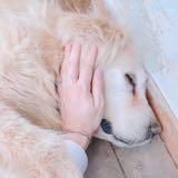 由 lili0001 (刊登 ID 1383623995，圖片 1) 提交，位於 的 (類別：)，說明：。