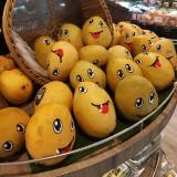(Category: ) located in . Submitted by smile.mango (Listing ID 1303305908, Image 1). Description: .