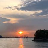 (Category: ) located in . Submitted by rksaha (Listing ID 1448142860, Image 1). Description: .
