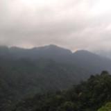 (Category: ) located in . Submitted by jia_.a (Listing ID 1318370455, Image 1). Description: .