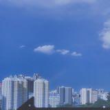 (Category: ) located in . Submitted by bigtuna_ (Listing ID 1375067938, Image 1). Description: .
