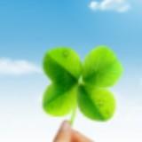 由 luckyer (刊登 ID 1381325410，圖片 1) 提交，位於 的 (類別：)，說明：。