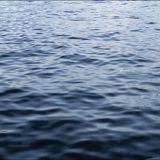 (Category: ) located in . Submitted by creamsunsets (Listing ID 1320313955, Image 1). Description: .