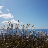 (分類:)位於 。 由 edithip.boto 提交(商品編號 1243027057,圖片 1)。簡介: 。