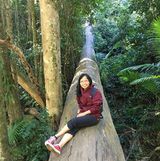 (Category: ) located in . Submitted by Jemartin (Listing ID 1369067951, Image 1). Description: .