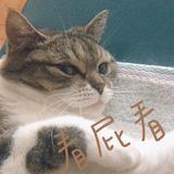 頭像