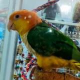 (Category: ) located in . Submitted by pingping7973311 (Listing ID 1381592652, Image 1). Description: .
