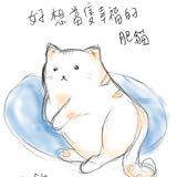 由 dondon117117 (刊登 ID 1382034097，圖片 1) 提交，位於 的 (類別：)，說明：。