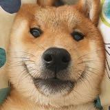 （分類：）位於 。 由 jklws 提交（商品編號 1373672205，圖片 1）。簡介： 。