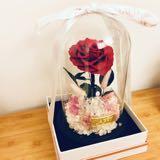 （分類：）位於 。 由 winwinky 提交（商品編號 1369242521，圖片 1）。簡介： 。