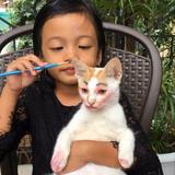 (Kategori: ) berada di . Dikirim oleh melisaabbb (ID iklan 1379537217, Gambar 1). Deskripsi: .
