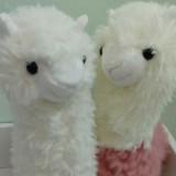 (Category: ) located in . Submitted by catherinekw (Listing ID 1377533748, Image 1). Description: .