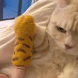 由 lemonnnteaaaa (刊登 ID 1266129278，圖片 1) 提交，位於 的 (類別：)，說明：。