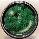 （分類：）位於 。 由 Happy_Together_Dealing 提交（商品編號 1328851509，圖片 1）。簡介： 。