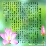 由 barryliutw (刊登 ID 1136521812，圖片 1) 提交，位於 的 (類別：)，說明：。