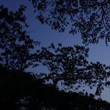 (Category: ) located in . Submitted by mint.cynn (Listing ID 1383323100, Image 1). Description: .