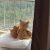 (Category: ) located in . Submitted by tyunsluvr (Listing ID 1330123613, Image 1). Description: .