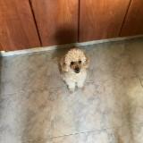 (Category: ) located in . Submitted by teoooooooo (Listing ID 1444801623, Image 1). Description: .