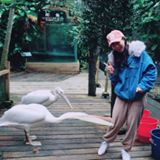 由 latte30 (刊登 ID 1381826031，圖片 1) 提交，位於 的 (類別：)，說明：。