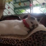 (Category: ) located in . Submitted by mollym7 (Listing ID 1377095796, Image 1). Description: .