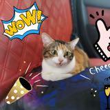 (分類:)位於 。 由 twinkle_chan 提交(商品編號 1468583001,圖片 1)。簡介: 。