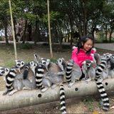 (Category: ) located in . Submitted by adaxiaoyao (Listing ID 1298722993, Image 1). Description: .