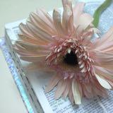 (Category: ) located in . Submitted by joyousbuys (Listing ID 1372748418, Image 1). Description: .