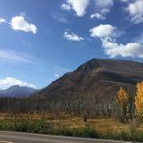 (Category: ) located in . Submitted by sf20201 (Listing ID 1382517996, Image 1). Description: .