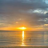 (Category: ) located in . Submitted by travelbag (Listing ID 1464372222, Image 1). Description: .