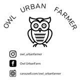 (Category: ) located in . Submitted by owl_urbanfarmer (Listing ID 1385572416, Image 1). Description: .