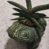 (Category: ) located in . Submitted by agilenerd (Listing ID 1359492029, Image 1). Description: .