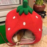 (Category: ) located in . Submitted by sha238 (Listing ID 1336724042, Image 1). Description: .