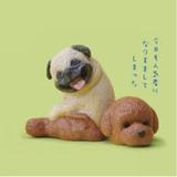 （分類：）位於 。 由 sunsinhk 提交（商品編號 1359186801，圖片 1）。簡介： 。