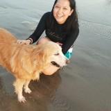 (Category: ) located in . Submitted by brunos.mom (Listing ID 1246971488, Image 1). Description: .