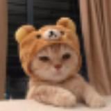 (Category: ) located in . Submitted by xhhhn (Listing ID 1378469268, Image 1). Description: .